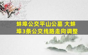 蚌埠公交平山公墓 大蚌埠3条公交线路走向调整